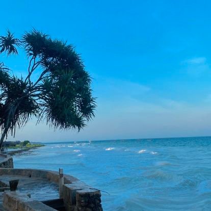 31_porte's profile picture. 