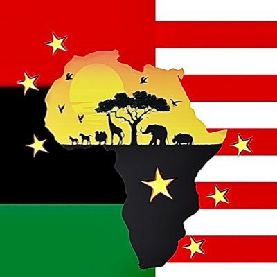 A symbol of Unity in America amongst Africans in America, African Americans, Black Americans, Mixed (Biracial) American… African American Unity Flag ™️2022