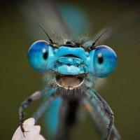 YaKnow (@dadofjth4) 's Twitter Profile
