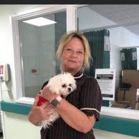 Lucie B Brumder (@oh4godssake) 's Twitter Profile