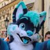 Tyrkys (@tyrkyshusky) Twitter profile photo Tyrkys (@tyrkyshusky) Twitter profile photo