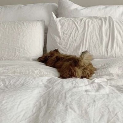 mybiggestfan111's profile picture. no peeking