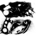 SINDERSALMON (@sindersalmon) Twitter profile photo SINDERSALMON (@sindersalmon) Twitter profile photo