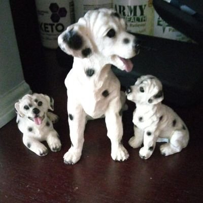 Pavel41783830's profile picture. Zxzd