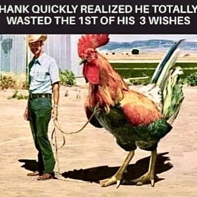 kyamsbit's profile picture.