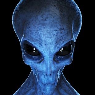 z_skyhigh's profile picture. Professional Homo Sapiens Observer