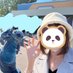 きーちゃん (@keeeey_d) Twitter profile photo きーちゃん (@keeeey_d) Twitter profile photo