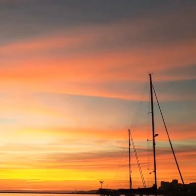 zapelulu's profile picture. 