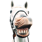 Liquid_Horse's profile picture. We bring you the funniest content on the web!
FB Page: https://t.co/ymF8BiYsby