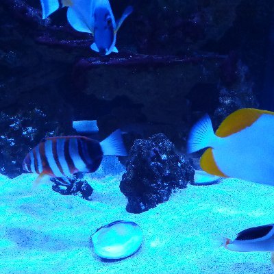 kingjoe80708445's profile picture. 