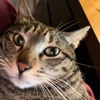 Smart Boy (@gunguiwx) 's Twitter Profile