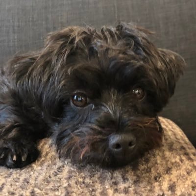 justinsaru's profile picture. Normal dude