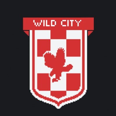 Wild City FC ❤️🦅⚽️ | Footium