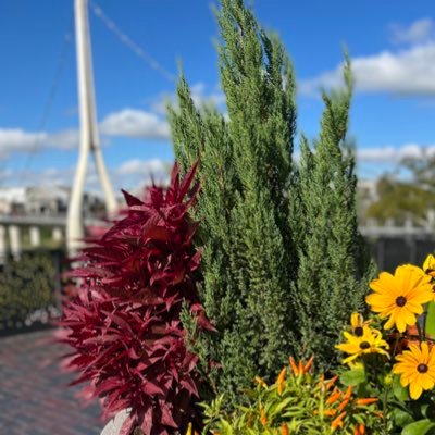 the_jill_show's profile picture. so random. so adhd. so me.