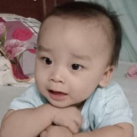 hoa le (@levanhoa3289) 's Twitter Profile