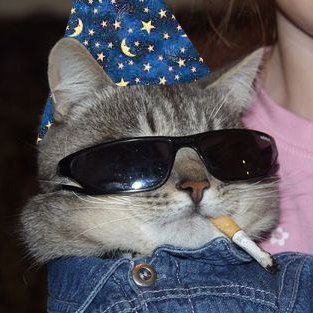 Occam, Bearer of the Curseさんのプロフィール画像