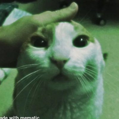 v1rtualwh1sper's profile picture. 