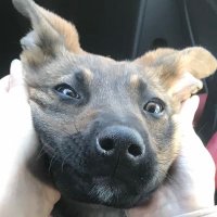 v0rtexrNg (@glimpsofeclipse) 's Twitter Profile