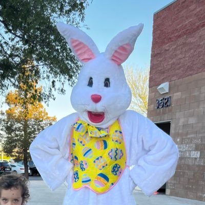 pedramlv's profile picture. 