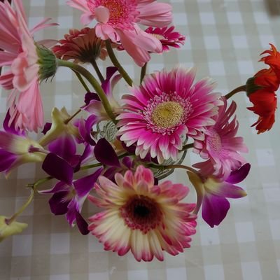 yoshiyuki4425's profile picture. 