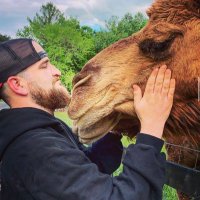 Richard Bowen (@rbowen71) 's Twitter Profile