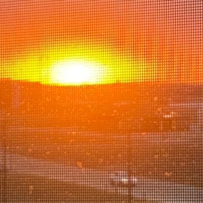 PaulMic1954hael's profile picture. Nothing new to report