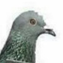 place to vent my fckin anger