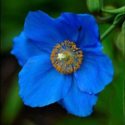 flashsotu89's profile picture. Trying to stay covid safe. Book lover. Feminist. Trans rights are human rights. 🏳️‍🌈🏳️‍⚧️Abortion saves lives.