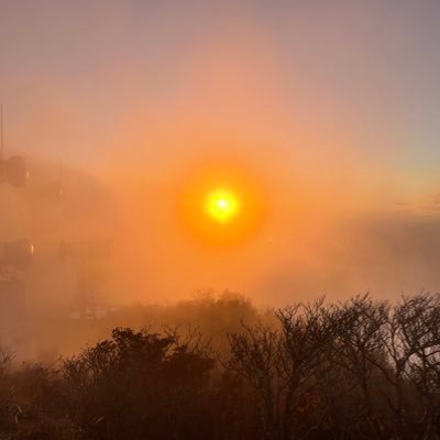 cake_pg's profile picture. 国内旅行 46(都道府県) 海外旅行 19(国) 百名山 19(座)一応、WEB系のエンジニア