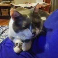 Tony Patterson (@tonyportabello) 's Twitter Profile