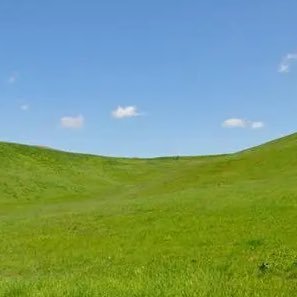 onebuckvip's profile picture. 