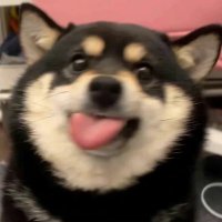 Ed. (@edddss_) 's Twitter Profile