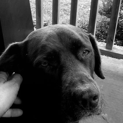 landworldking's profile picture. I'm a guy that has questions.