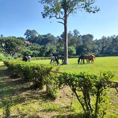 Libre pensador. Siempre habrá algo que aprender, disfruto la vida. ®™