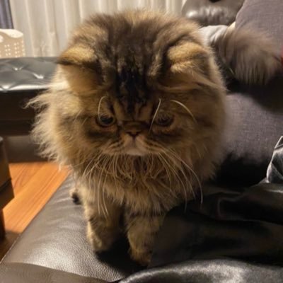 s2_bloody's profile picture. 我が生涯に一片の悔いなし