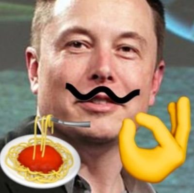 ltaIianEIonMusk Profile Picture