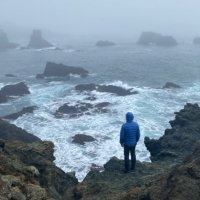 Ambient Medium (@ambientmedium) 's Twitter Profile