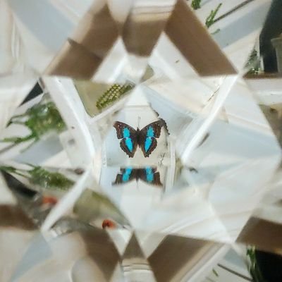 7waystosunday's profile picture. 