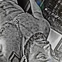 Gearth Kwake (@vnilla_thunda) 's Twitter Profile