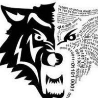 Petr Pavlat (@petrpavlat1) Twitter profile photo