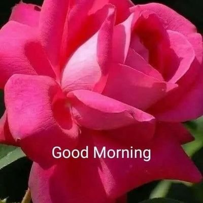 DEEPAKS31526346's profile picture. 