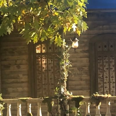 Busybee43248705's profile picture. 