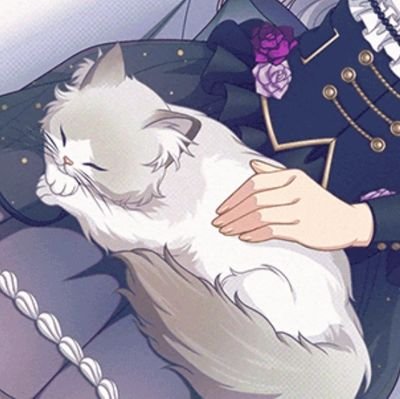 小猫さんのプロフィール画像
