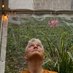 Michael D (@backtothecalm) Twitter profile photo Michael D (@backtothecalm) Twitter profile photo
