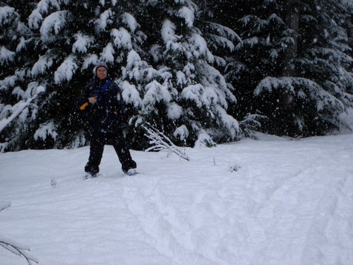 onlineclm's profile picture. 