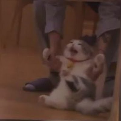 FabianPaxi's profile picture. 