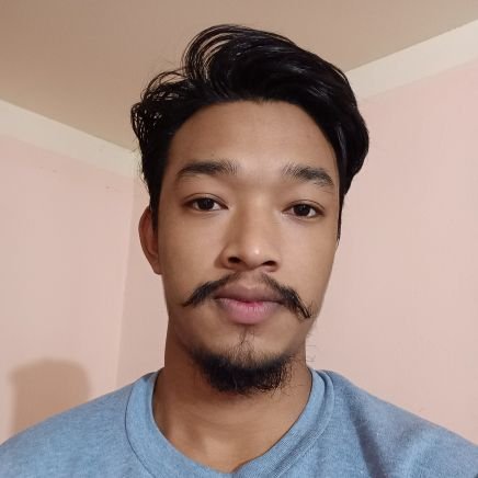 its_sushantstha's profile picture. Tech | Business | Finance