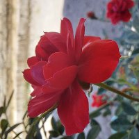 Nothingness (@gelynfrrr) 's Twitter Profile