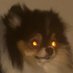 Dan. K (@sezurin) Twitter profile photo Dan. K (@sezurin) Twitter profile photo