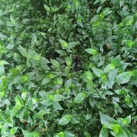 Photographer (@willreyburn) 's Twitter Profile